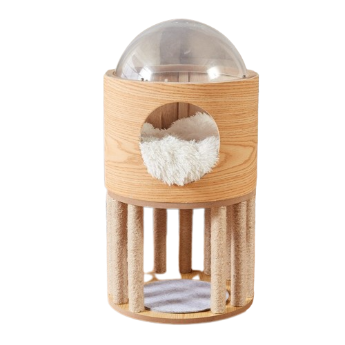 Módulo Espacial Tranparente