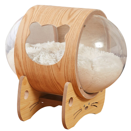 Módulo Espacial Tranparente