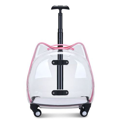 Bolsa de Transporte Temática com Rodinhas