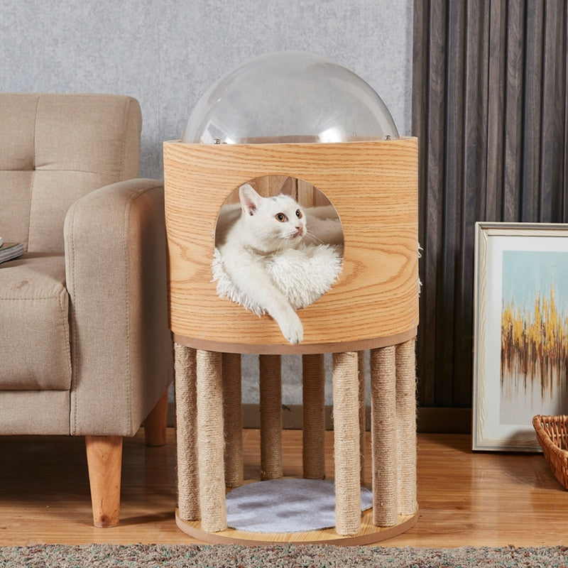 Módulo Espacial Tranparente