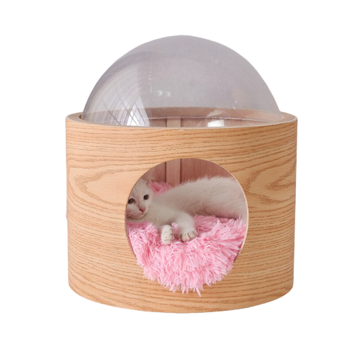 Módulo Espacial Tranparente