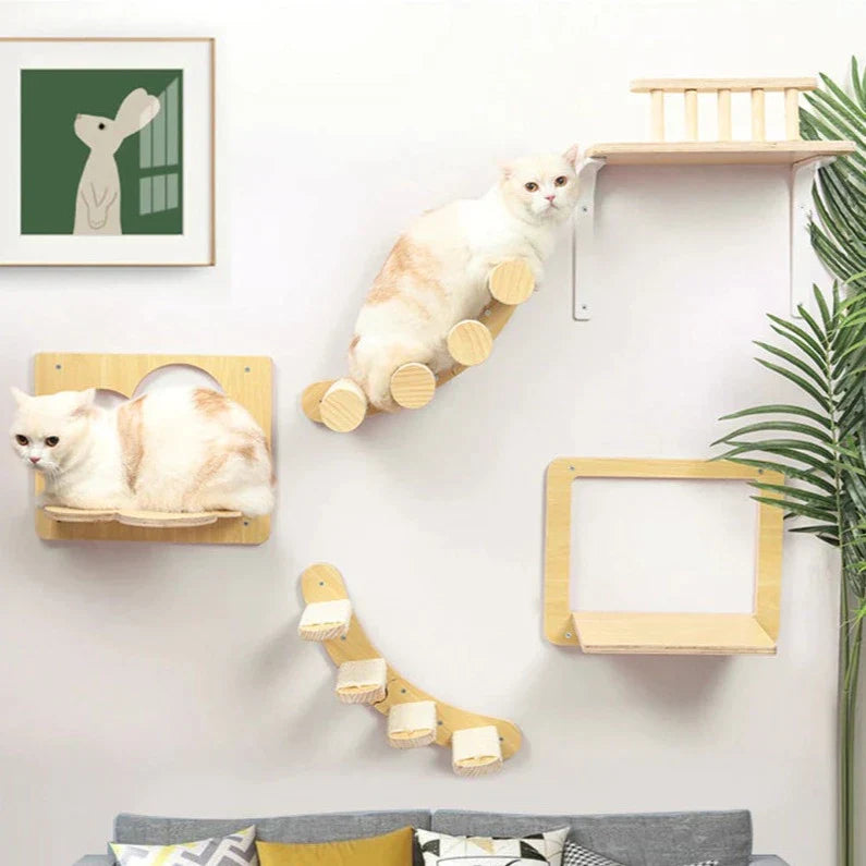 Kit De Escalador De Paredes De Madeira