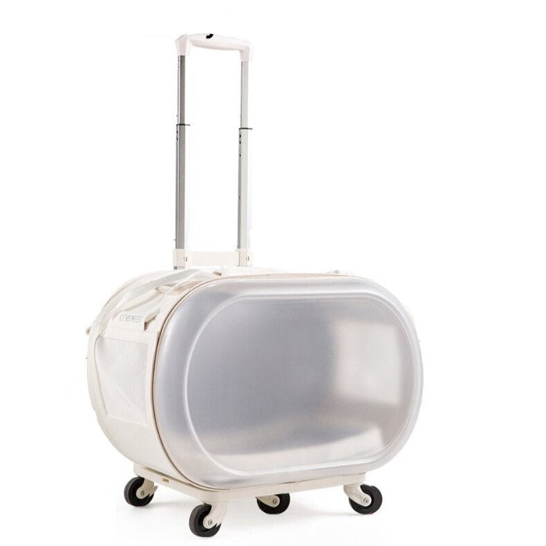 Bolsa de Viagem Transparente com Rodinhas 360º