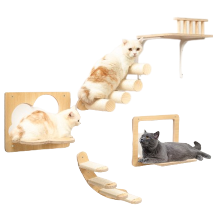 Kit De Escalador De Paredes De Madeira