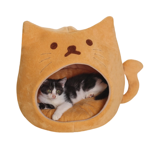 Casa De Pelúcia Temática